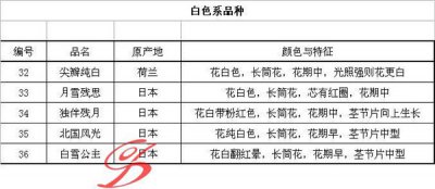 蟹爪兰种类及其图片资料 蟹爪兰品种图片（附部分资料）