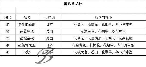 蟹爪兰品种图片