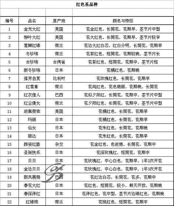 蟹爪兰品种图片