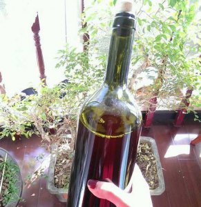 过期的红酒可以浇花吗（不要这样做）