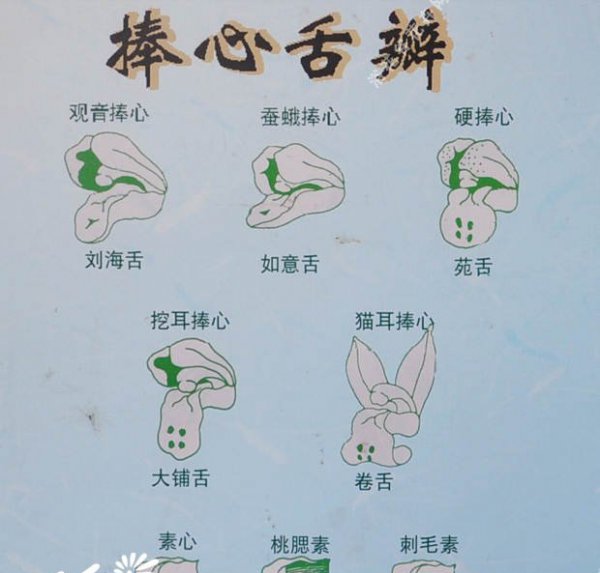 春兰花色、花瓣、叶色识别图