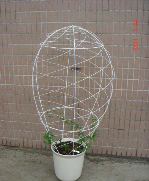 铁线莲的架子怎么做