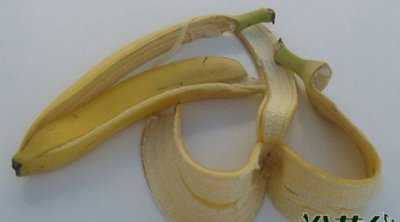 香蕉皮可以做花肥吗 《香蕉皮能当花肥吗？》