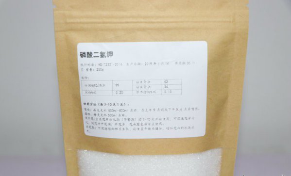 月季花期能用磷酸二氢钾吗