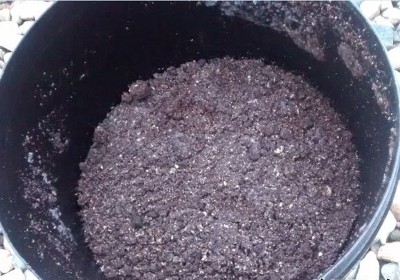 豆渣沤肥——无臭！简单！零技术！