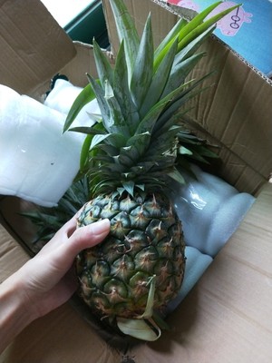 凤梨为什么不要泡盐水而菠萝需要泡盐水