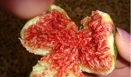 无花果是连皮吃还是剥皮吃