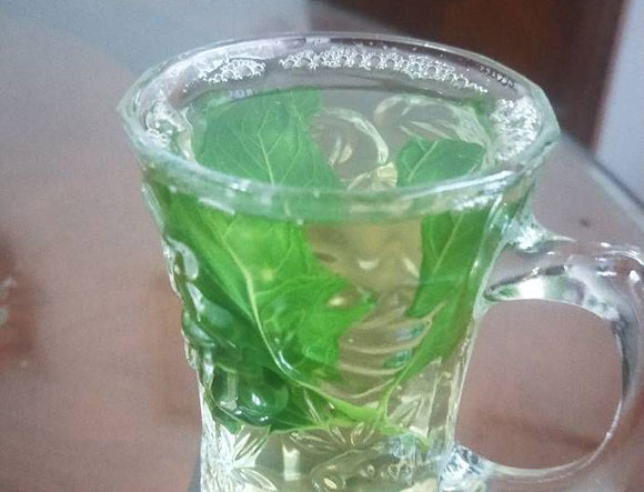 薄荷泡茶喝有什么好处