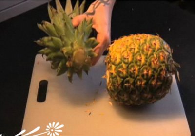 资深花友谈-家养菠萝也结果 家里养殖菠萝能结果！