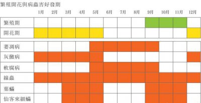 仙客来什么时候开花 仙客来开花时间是什么时候
