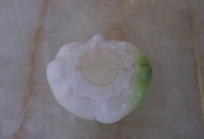 朱顶红双鳞片繁殖繁殖方式 朱顶红繁殖——双鳞片繁殖