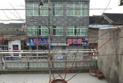 月季花墙的制作方法（组图） 月季花墙也可以这样做（组图）