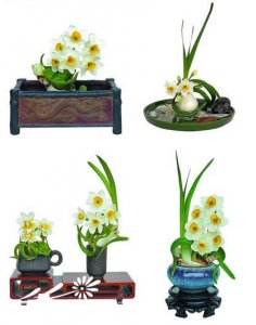 漳州水仙花球雕刻造型技术 《漳州水仙花球雕刻造型技法》