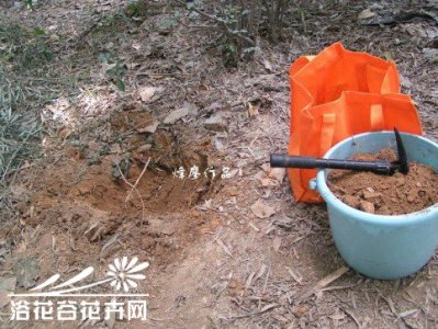 自制颗粒营养土过程（图文） 《自制颗粒营养土步骤（附图文）》