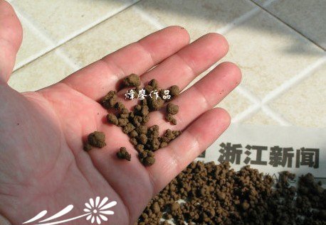 自制颗粒营养土过程