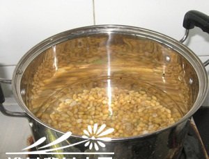用黄豆制作花肥的简单方法 《黄豆制作花肥的简易步骤》