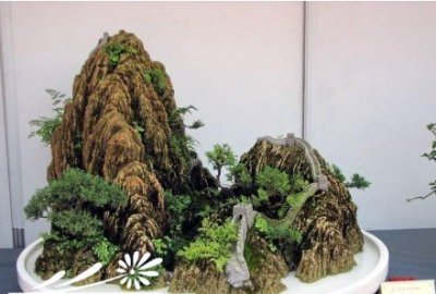 漫谈山水盆景的新款式 《山水盆景新款式漫谈》