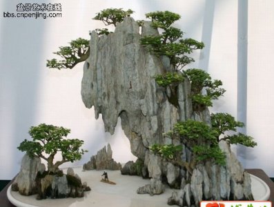 《山水盆景硬石代表知多少》 制作山水盆景所用的硬石代表