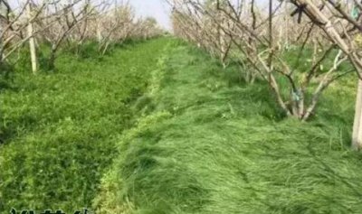 土壤保墒是什么意思 《土壤保墒是何含义？》