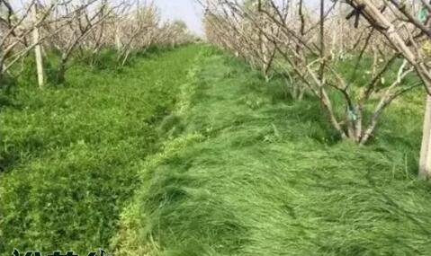 土壤保墒是什么意思