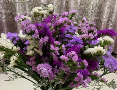 干花受潮长毛怎么处理 《干花受潮长霉咋处理？》