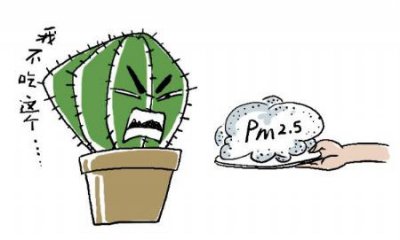 雾霾天气养什么植物（不要被骗了）