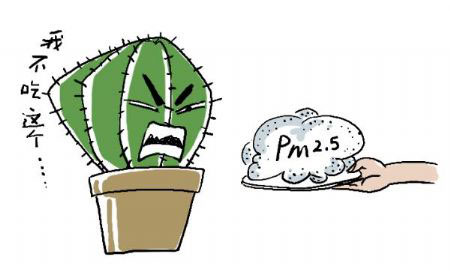 雾霾天气养什么植物
