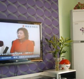 《勿在电视机旁摆花卉》 电视机旁摆放花卉不可取