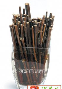 家庭玻瓶插花 家居玻璃瓶花艺