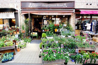 开花店的流程 开花店的详细流程