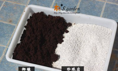 《椰糠替代泥炭土实验图文对比》 椰糠代替泥炭土实验对比（图文）