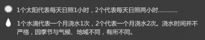 《50种常见多肉植物新图鉴》 50种常见多肉植物图鉴（新增）