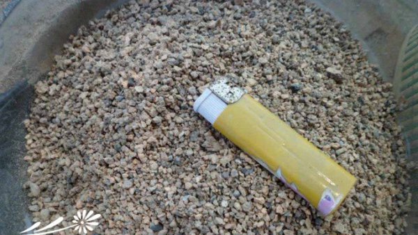 养多肉蜂窝煤渣的运用