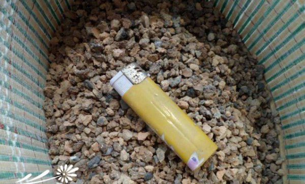 养多肉蜂窝煤渣的运用