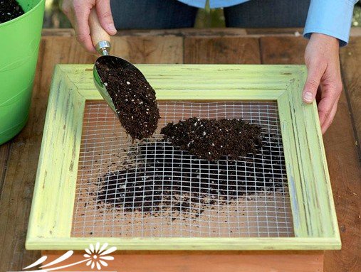 多肉墙制作教程