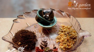 《DIY掌上多肉小花园》 DIY-掌上的多肉植物花园