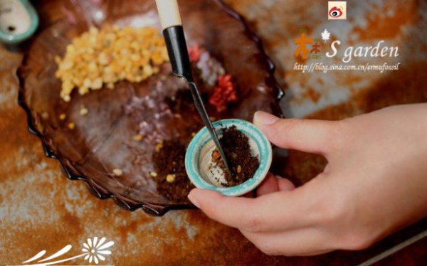 DIY-掌上的多肉植物花园