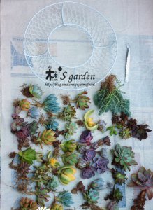 DIY-多肉植物 花环的制作 《多肉植物花环DIY制作教程》