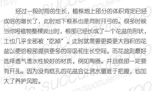 多肉植物的春季养护