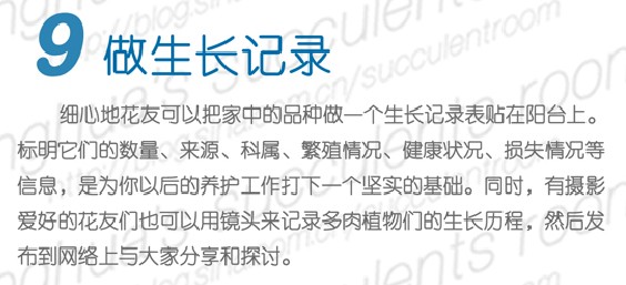 多肉植物的春季养护