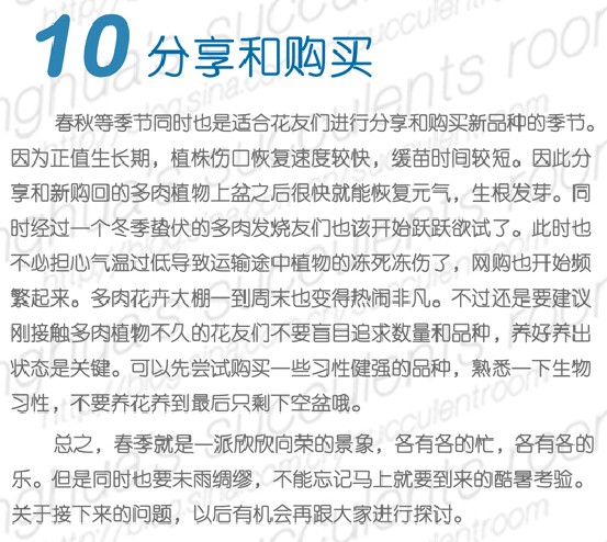 多肉植物的春季养护