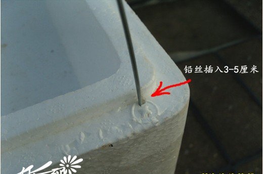 家庭自制多肉植物泡沫盒小暖棚
