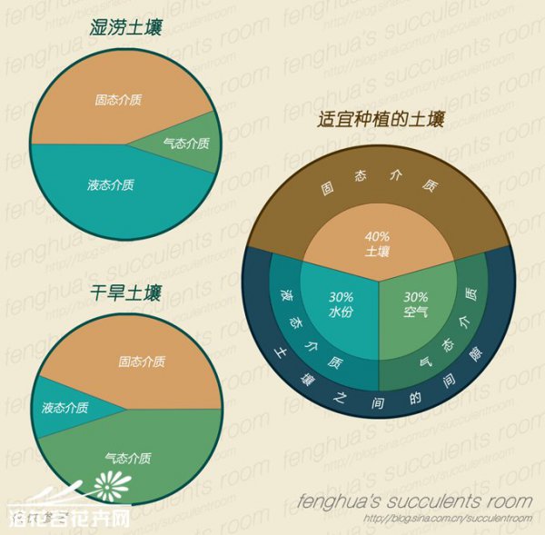 陶器在多肉养植中的使用