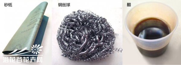 陶器在多肉养植中的使用