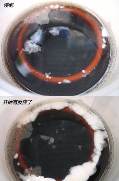 陶器在多肉养植中的使用