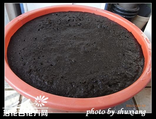用蝙蝠粪肥自制磷钾肥水溶液