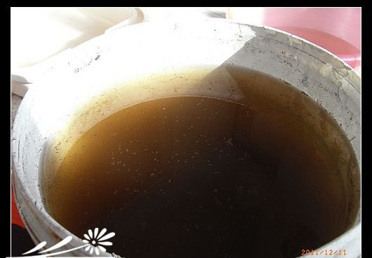 用蝙蝠粪肥自制磷钾肥水溶液