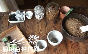 图解多肉植物群栽方法