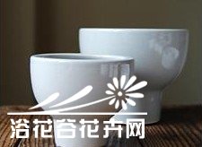 图解多肉植物群栽方法
