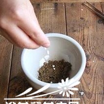 图解多肉植物群栽方法